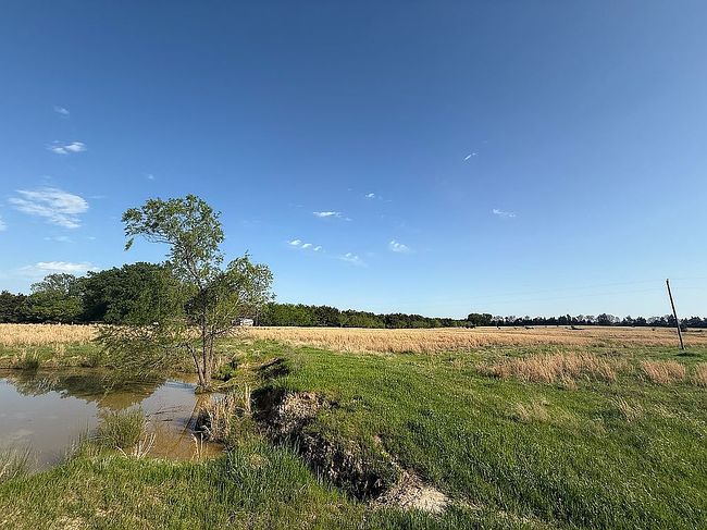 Image of 596 County Road 1153