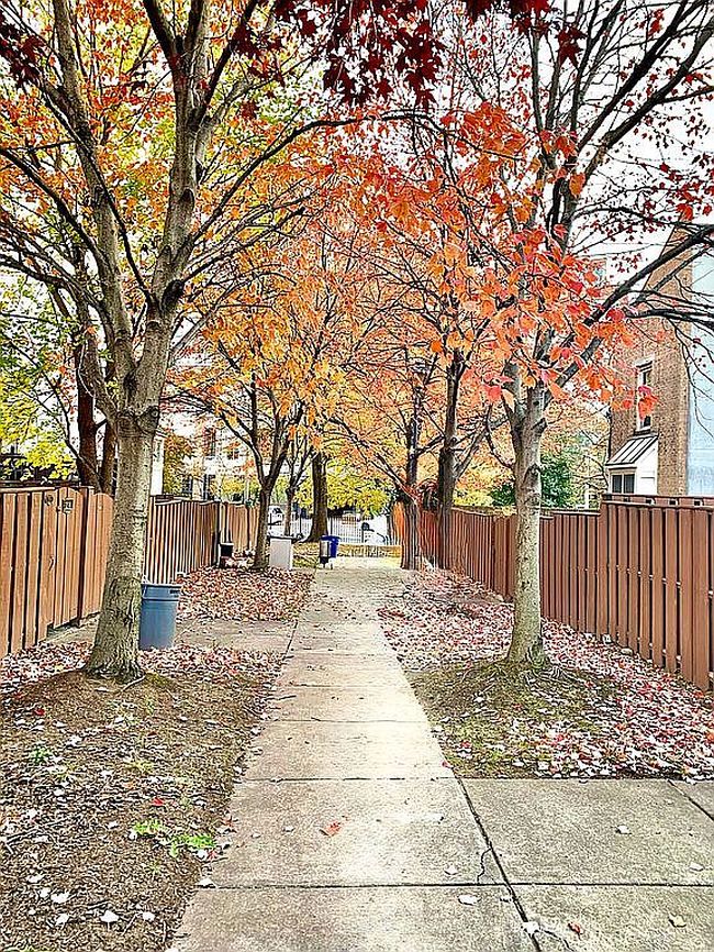 Image of 2923 Elliott St