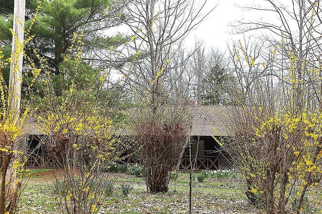 Image of 194 Mark Tilger Rd