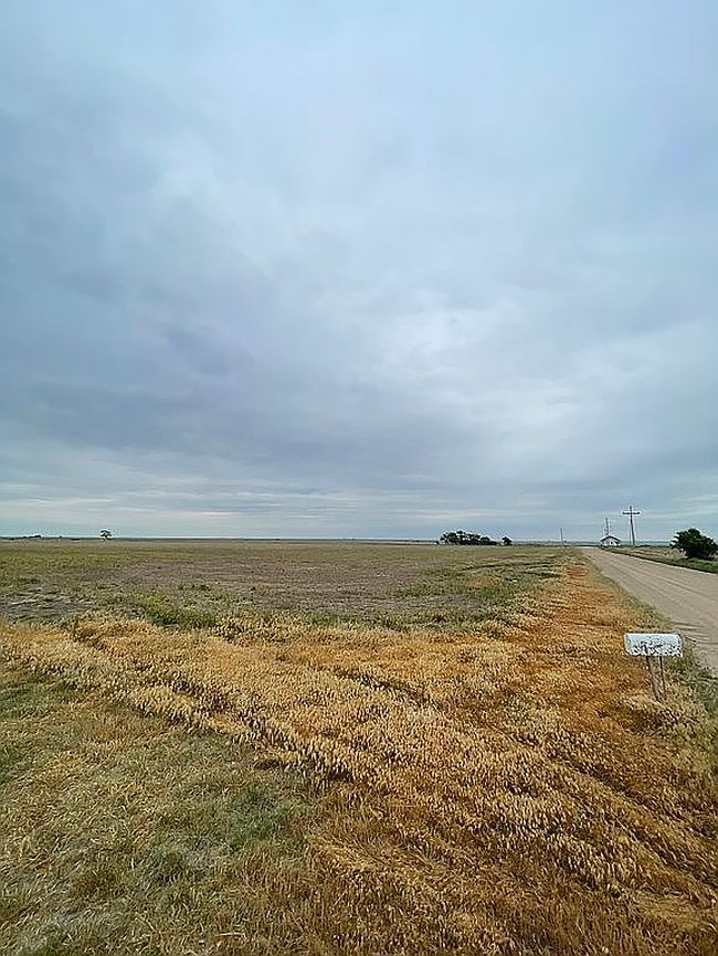 Image of 10873 Road R