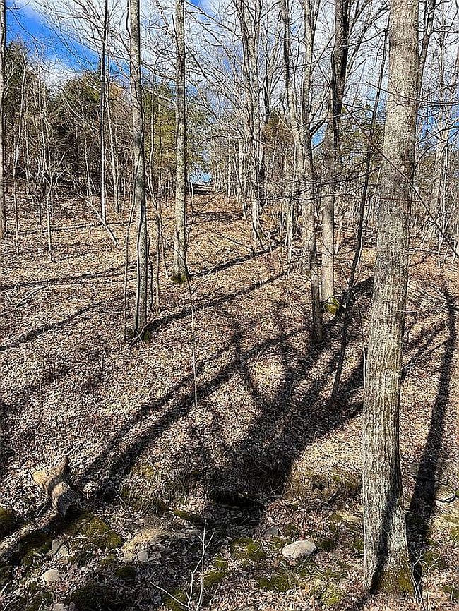 Image of 1536 Rankin Mill Rd