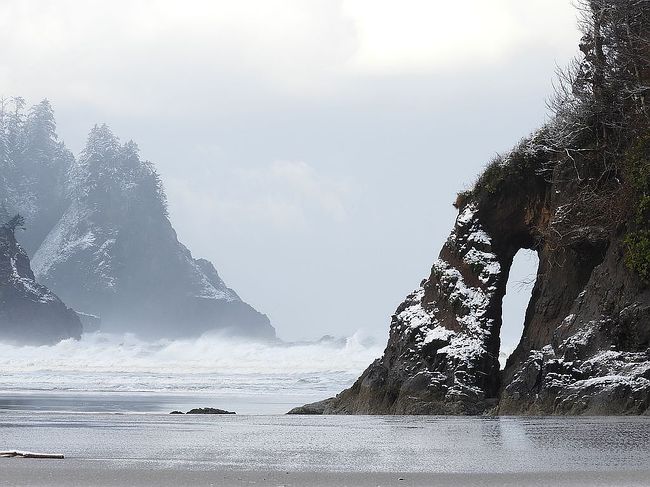 Additional photo 2 of property located at 48998 Highway 101 S