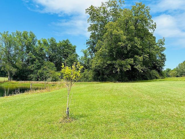 Image of 16330 Horn Hill Rd