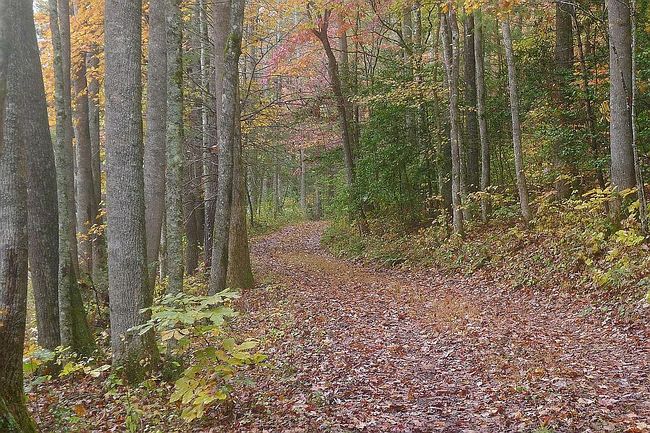 Image of 8158 Beaver Dam Rd