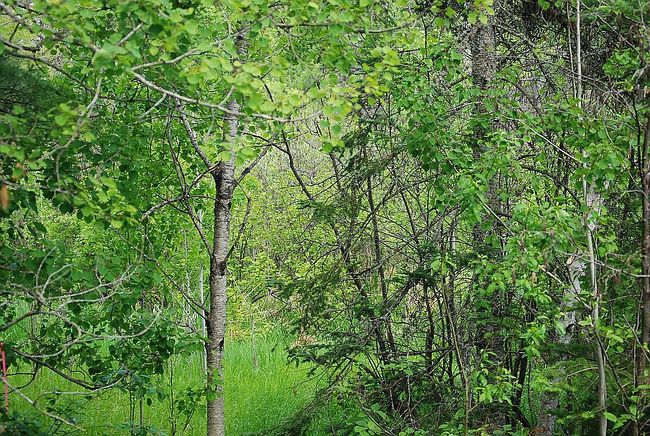Photo of 65Xb Locust Rd, Duluth, MN