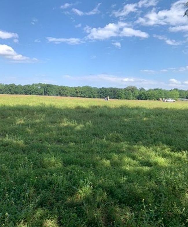 Photo of Nw 222nd St, High Springs, FL