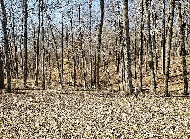 Image of 1869 S Getty Rd