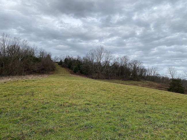 Photo of 3003 Tea Run Rd, Ewing, KY
