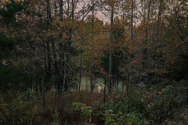 Image of 133 Wells Lee Rd