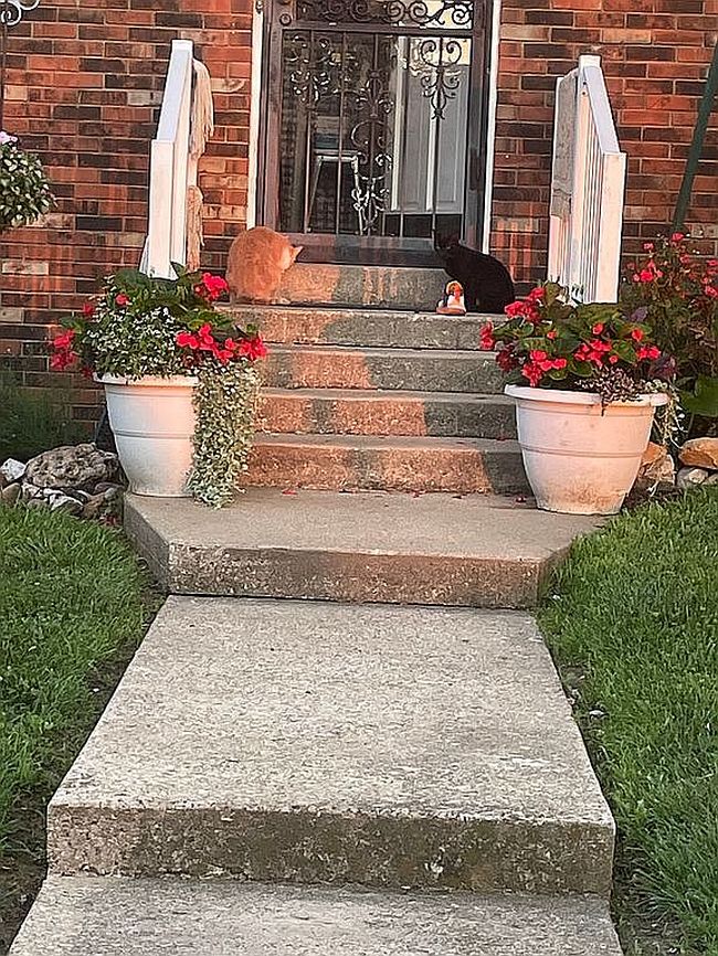 Additional photo 1 of property located at 304 Highway 1401