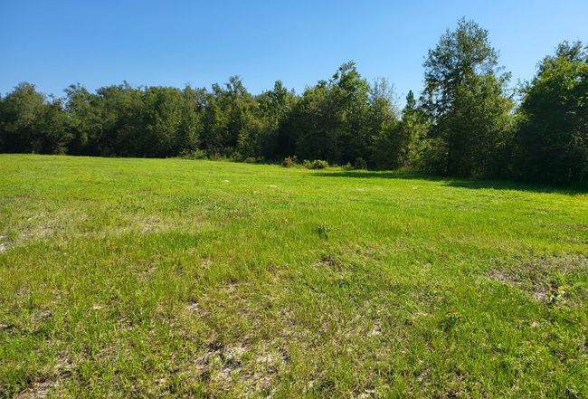 Image of 605 Southwest Ford Lane