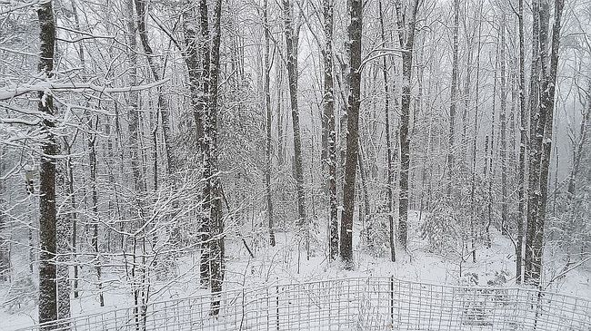 Image of 265 Finger Board Rd