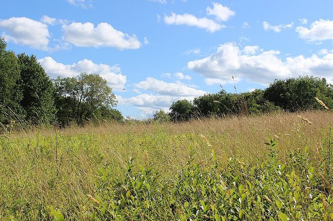 Photo of 1-2 Tanzman Rd, Parksville, NY