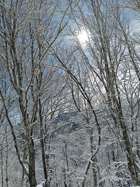 Photo of 454 Granny Shepherd Rd, Mars Hill, NC