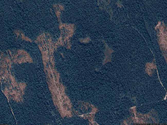 Image of 250 Beaver Lake Rd