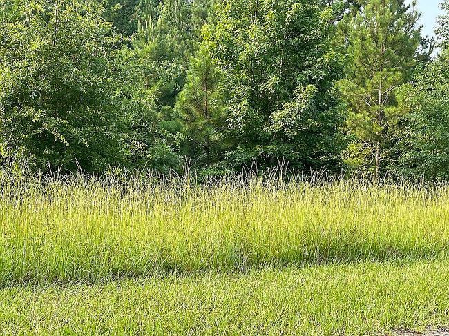 Photo of 99 Jaylin Oaks Dr, Spring Lake, NC