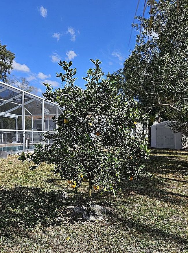 Image of 18062 Carrolwood Dr