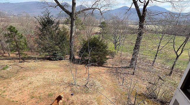 Image of 155 Tennessee Ridge Dr