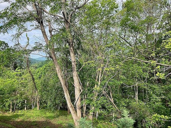 Photo of 0 Asheville, Asheville, NC