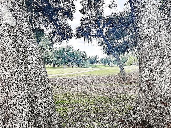 Photo of 1716 E Schwartz Blvd, Lady Lake, FL