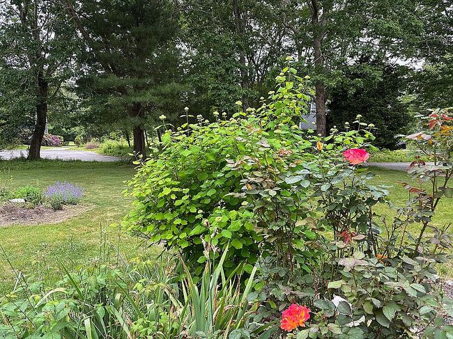 Photo of 14 Homestead Cir, Kingston, RI