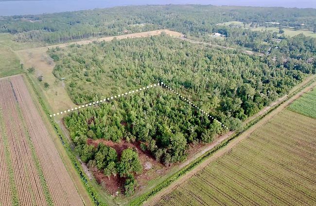 Preview of property located at County Road 208