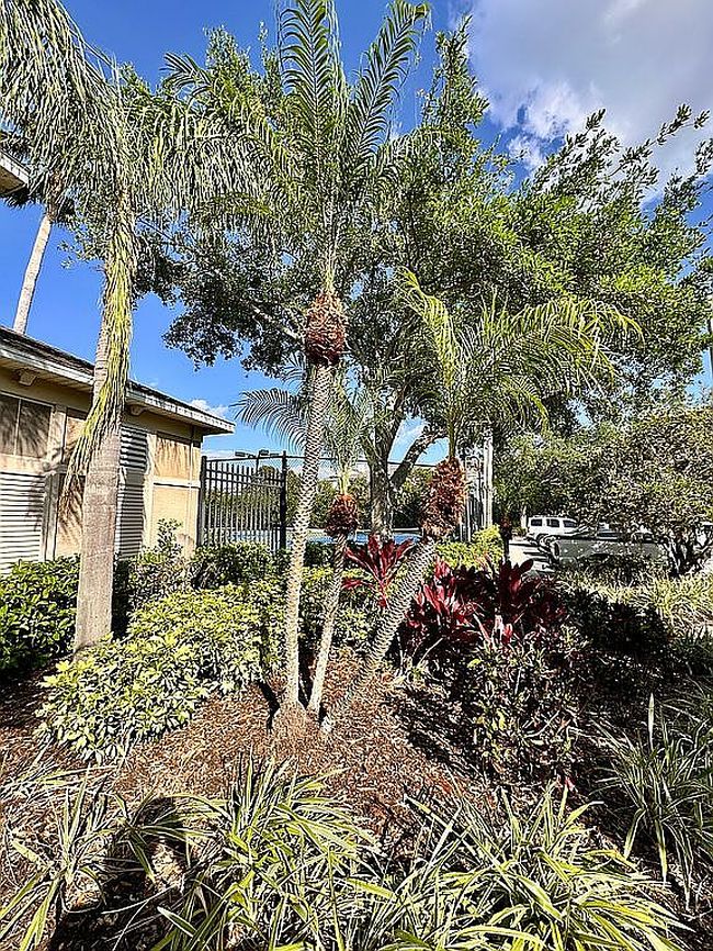 Image of 608 Black Lion Dr Ne