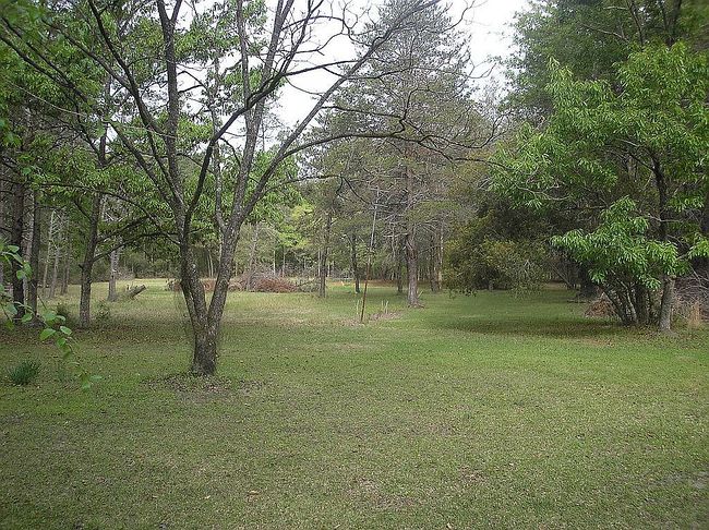 Image of 890 Hiers Corner Rd