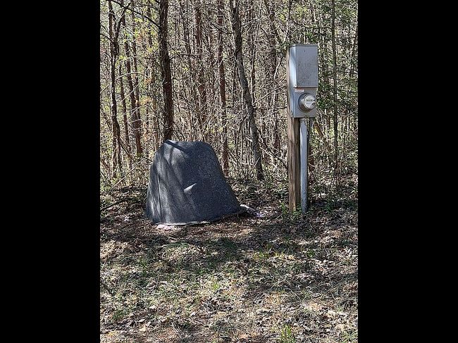 Image of 165 Chestnut Cove Rd