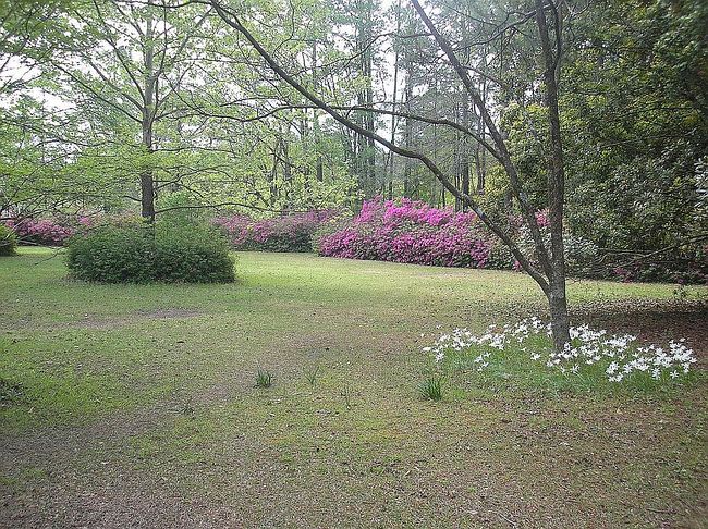 Image of 890 Hiers Corner Rd
