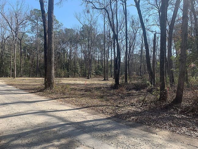 Photo of 0 Boykin Ln, Ridgeville, SC