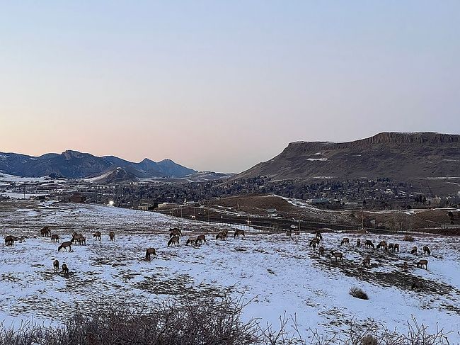 Photo of 828 Rabbit Run Dr, Golden, CO