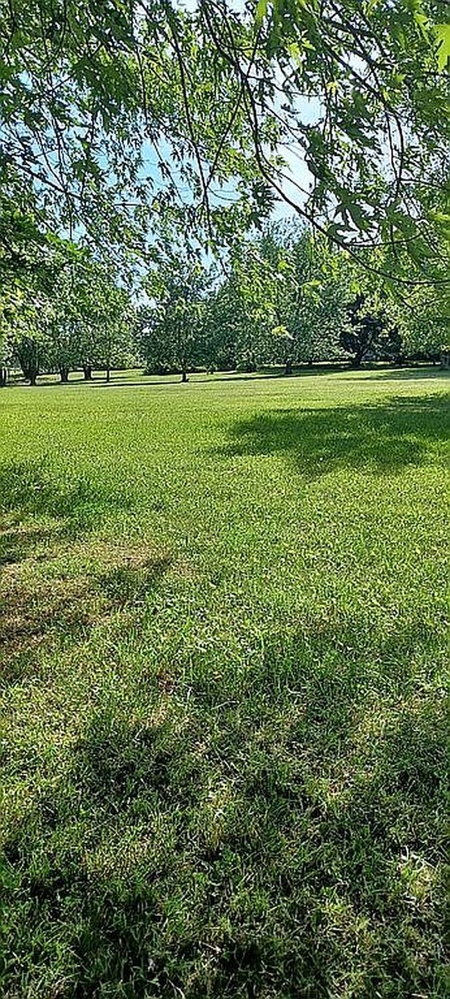 Photo of 166 Panther Run Ln, Moravian Falls, NC