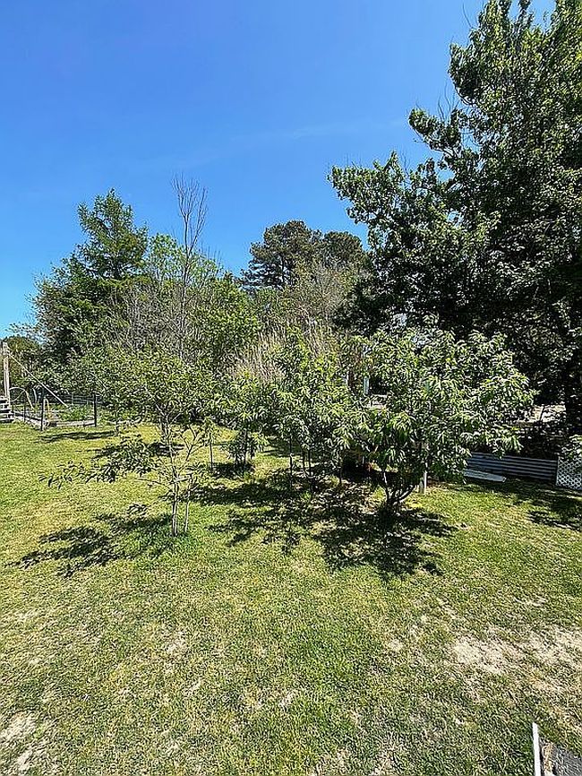 Image of 6487 Church St
