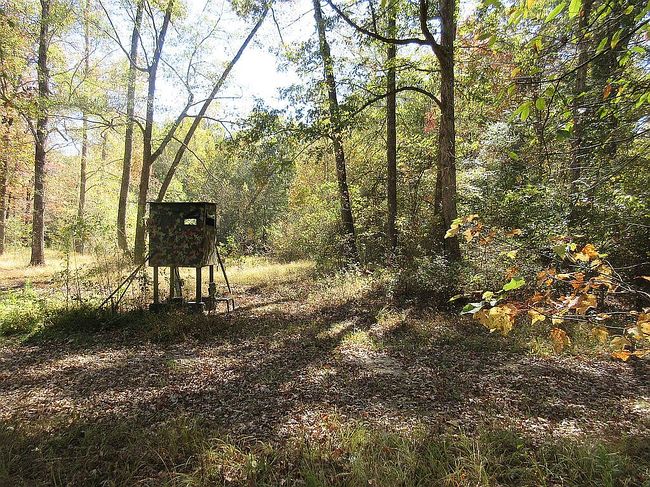 Photo of Driftwood Dr, Sherwood, AR
