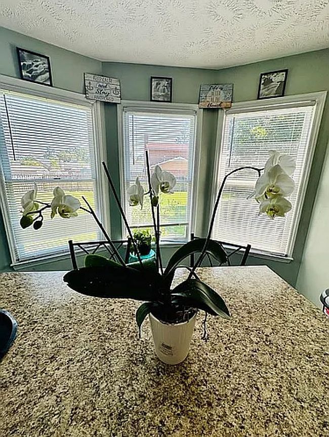 Photo of 6749 Battle Rd, Fayetteville, NC