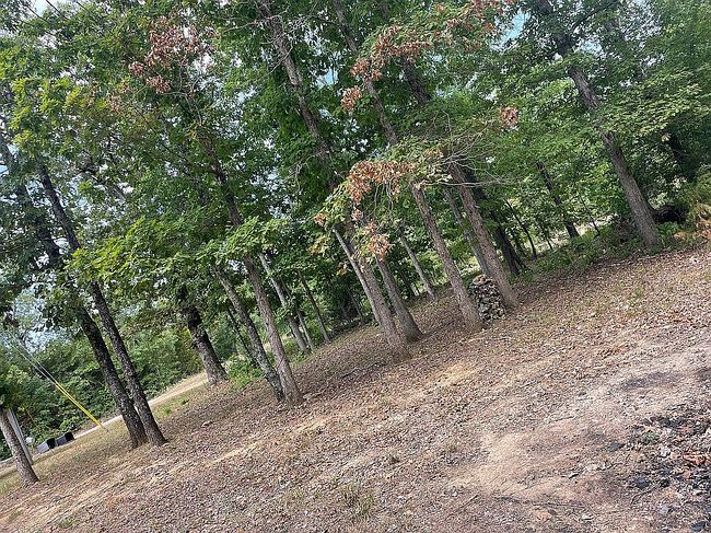 Photo of 359 Black Oak Rd, Mammoth Spring, AR