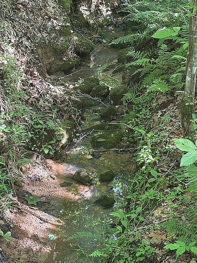 Image of 0 Clay Rd