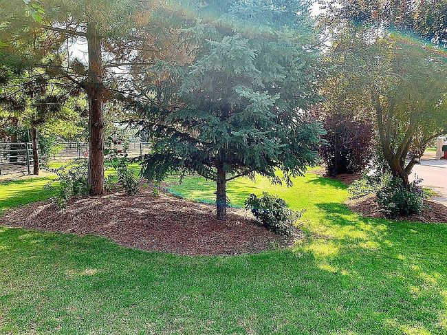 Image of 1445 Heartland Ln