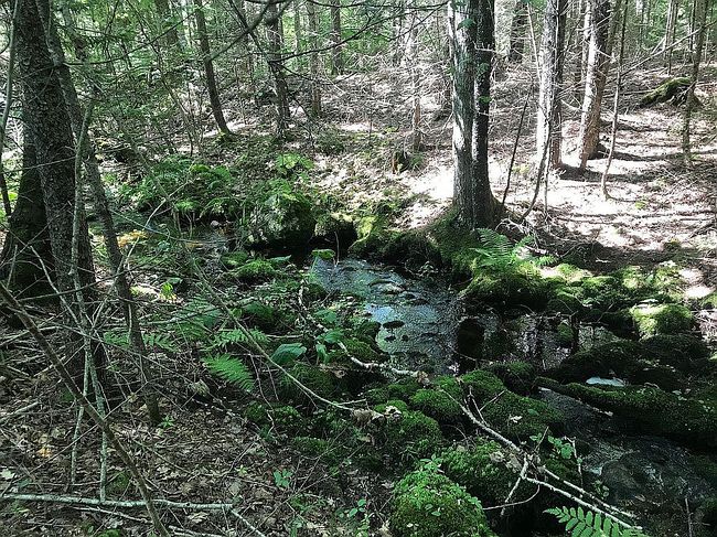 Photo of 29 State Rte 32 Lot 29, Round Pond, ME