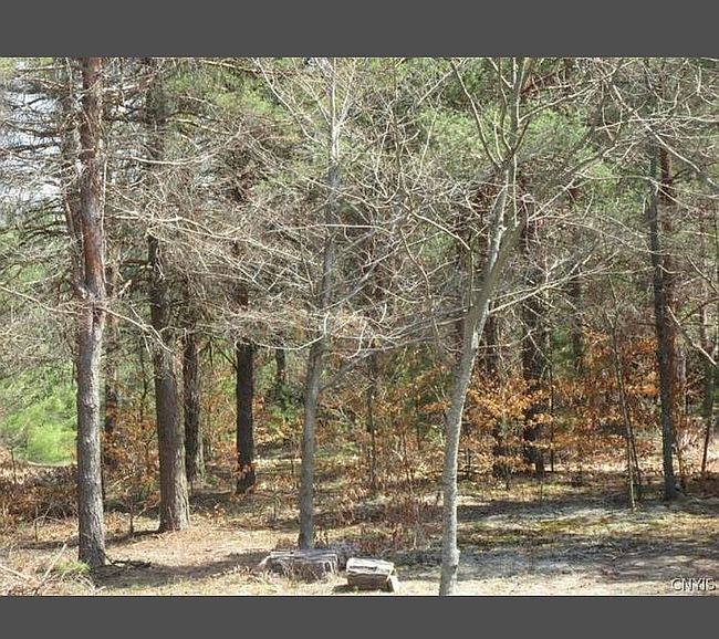 Photo of 260 Barrett Rd, Winthrop, NY