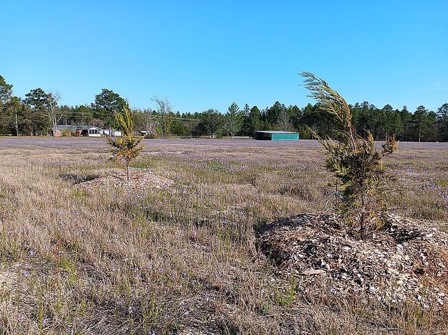 Image of 3411 Columbia Hwy N