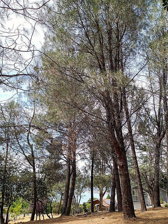 Photo of 4660 Hawaina Way, Kelseyville, CA