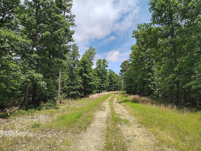 Photo of 273 Peaceful Ln, Yellville, AR