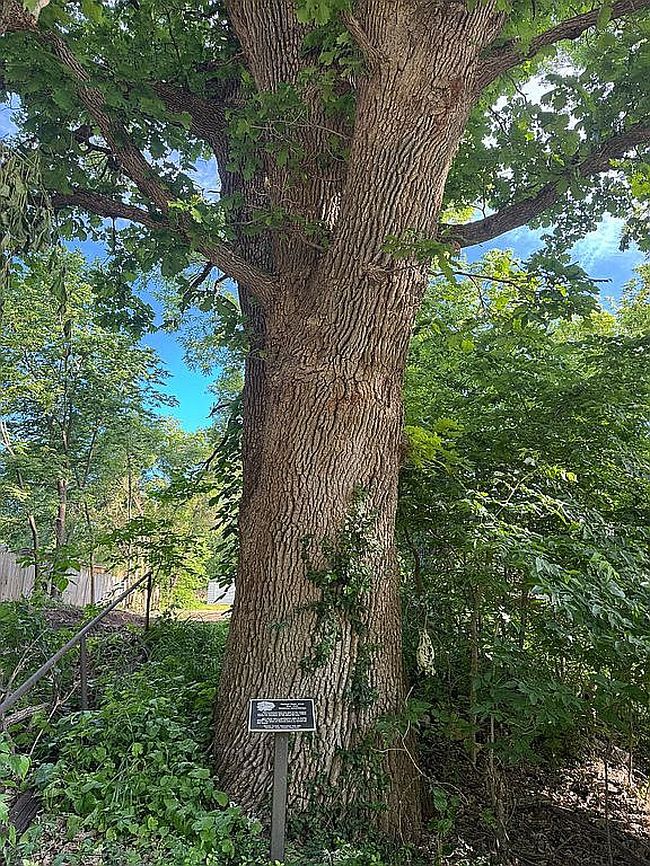 Photo of 222 Chick St, Council Grove, KS
