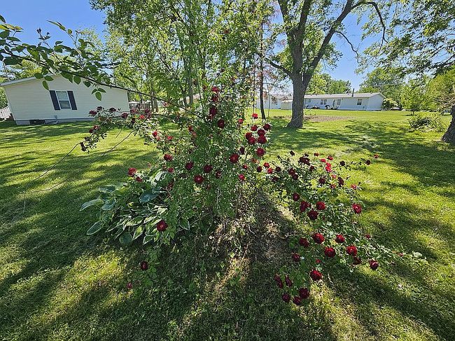 Photo of 1617 N Church St, Marceline, MO
