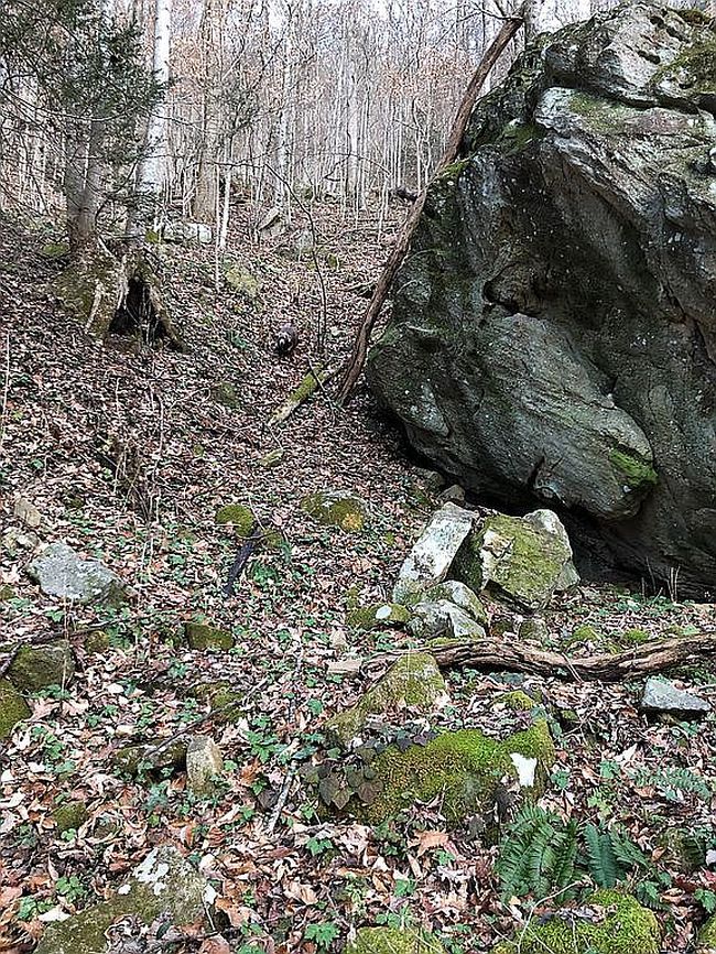 Image of 618 Boyd Rd