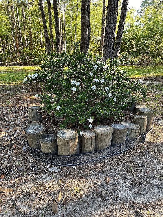 Image of 85379 House Creek Rd