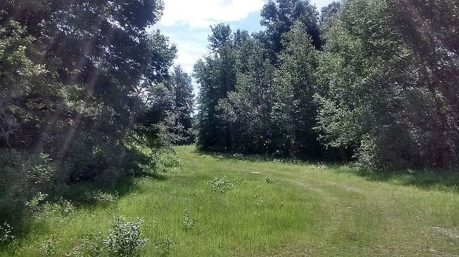 Image of 15422 Sw 50th Ave