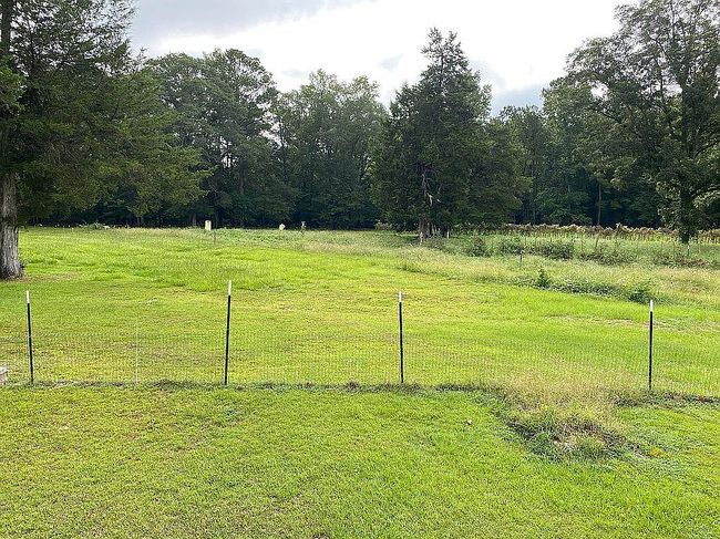 Photo of 2770 Collins Dr, Pine Apple, AL